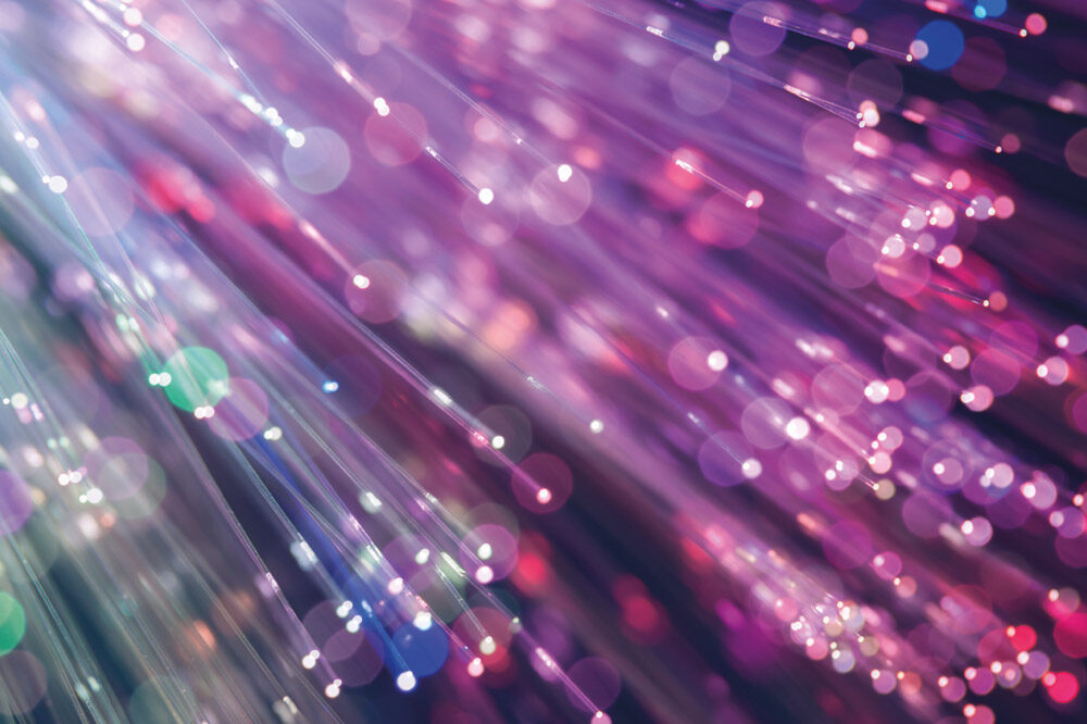 Purple toned close up of fibre optic cables.